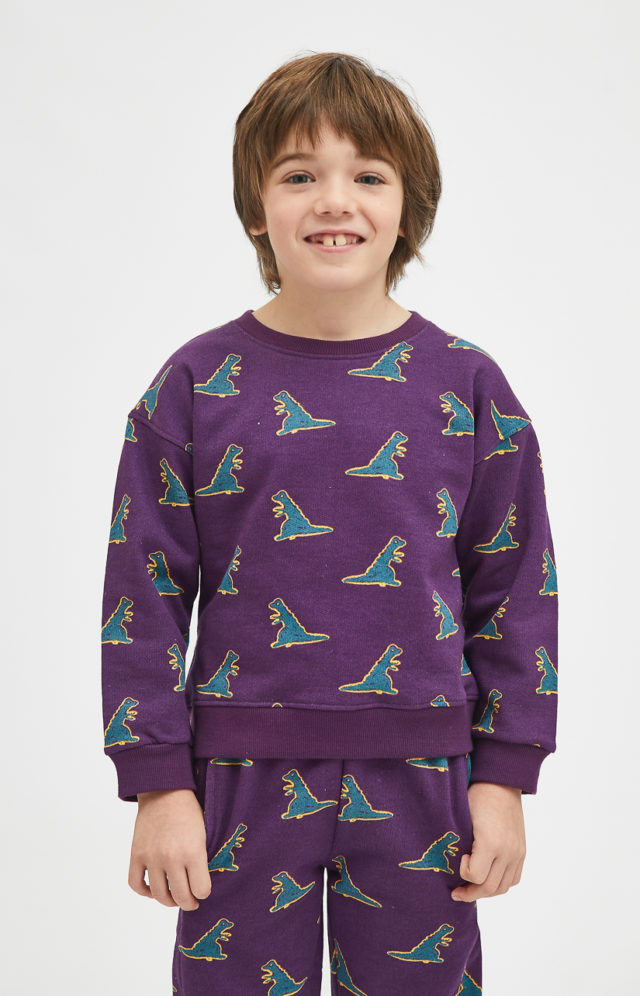 Sudadera unisex dinos