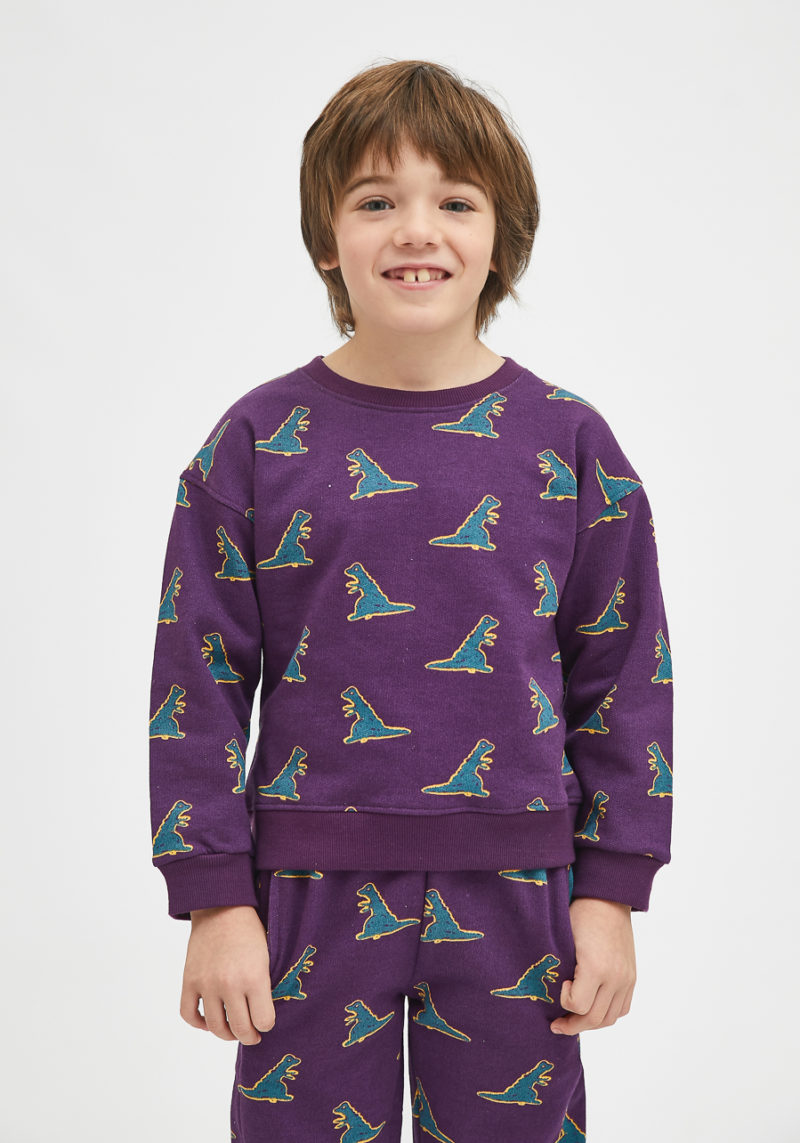 Sudadera unisex dinos