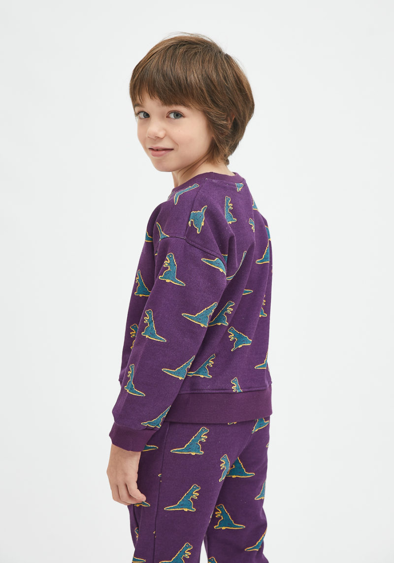 Sudadera unisex dinos - Imagen 2