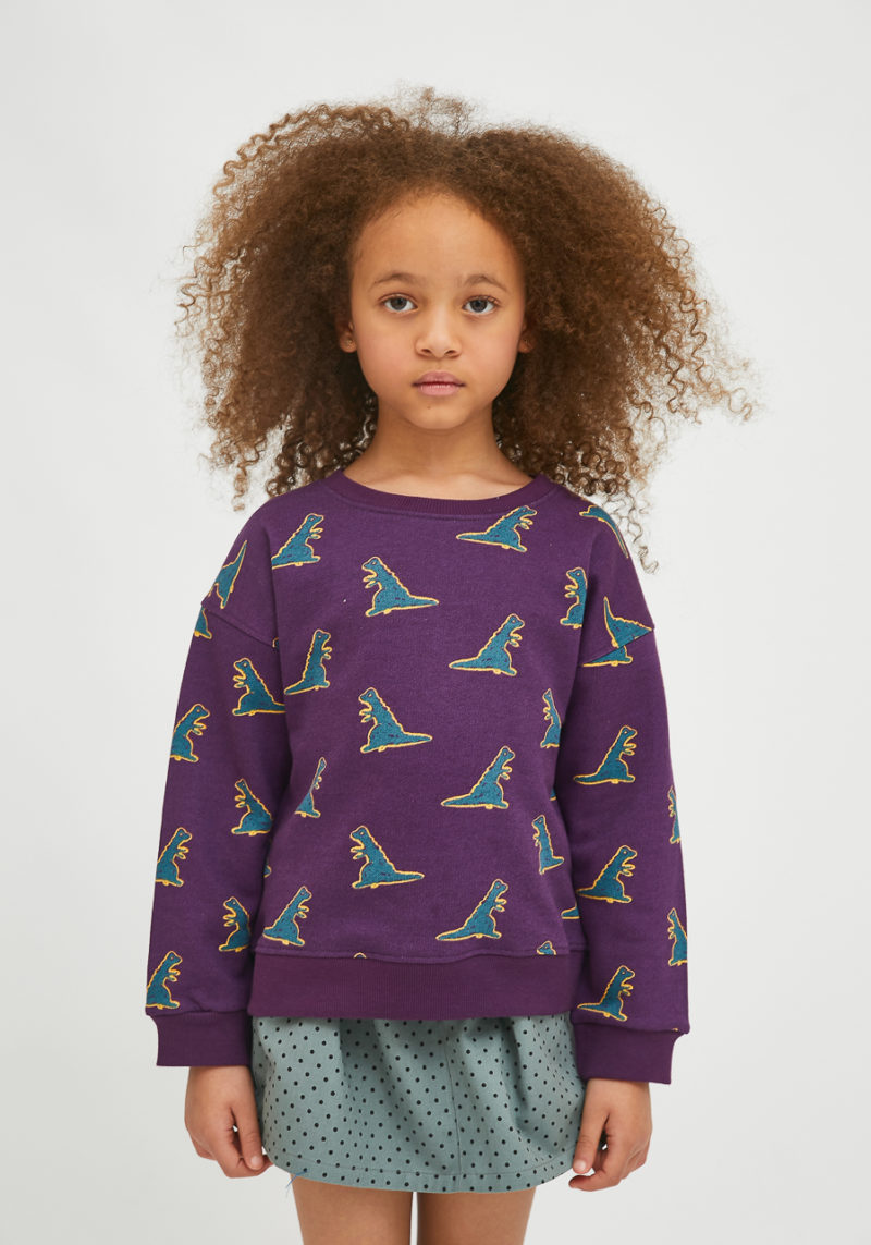 Sudadera unisex dinos - Imagen 3