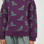 Sudadera unisex dinos - Imagen 4