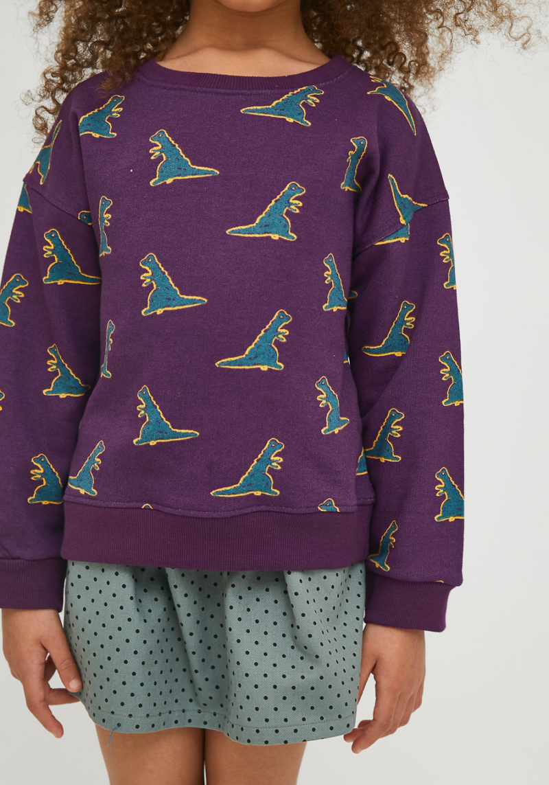 Sudadera unisex dinos - Imagen 4
