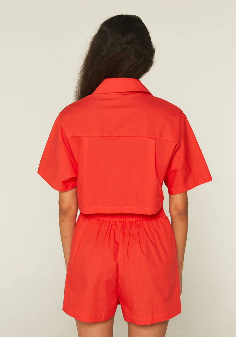 Mono corto rojo - Imagen 4