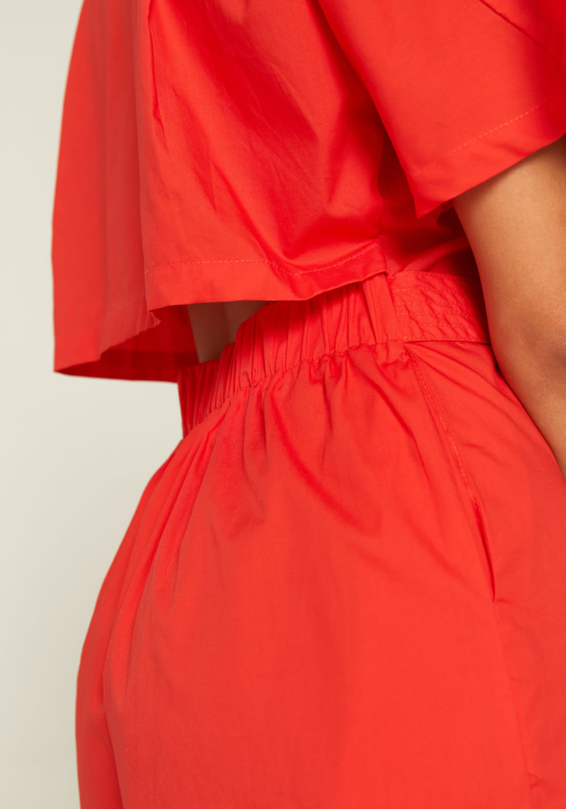 Mono corto rojo - Imagen 3