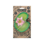 Water Lily