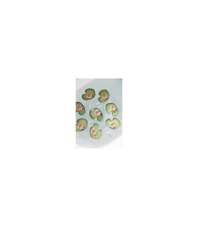 Water Lily - Imagen 2