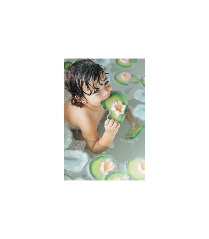 Water Lily - Imagen 3