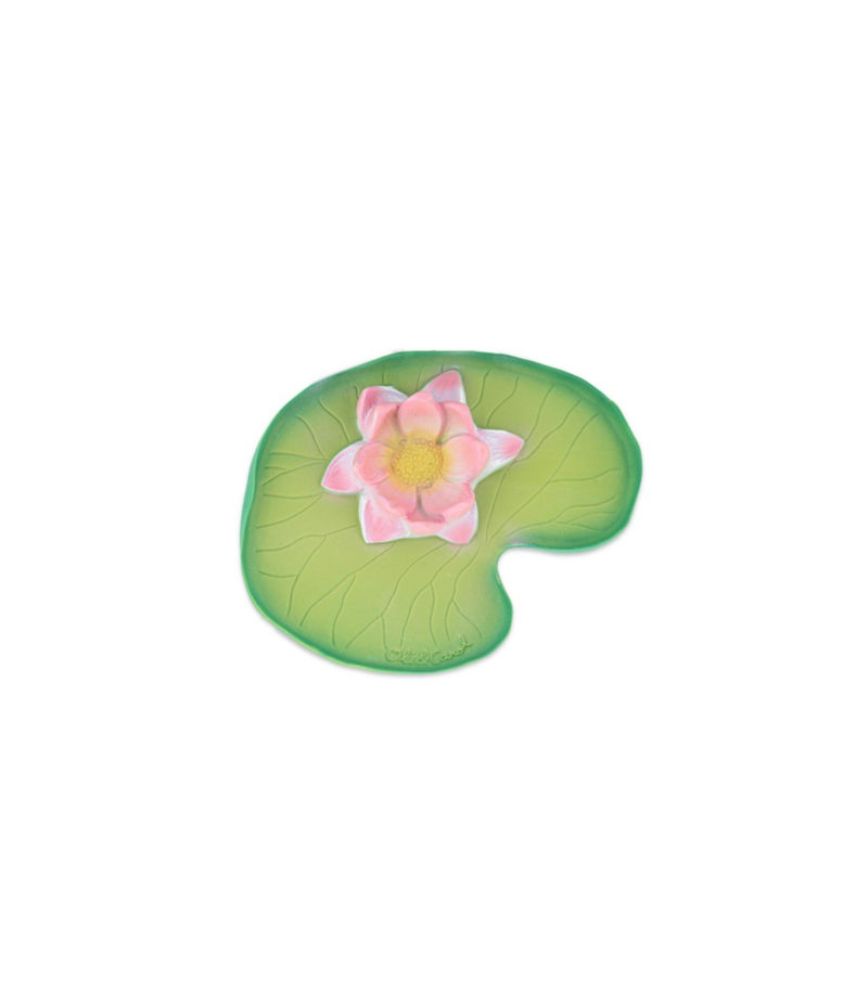 Water Lily - Imagen 4