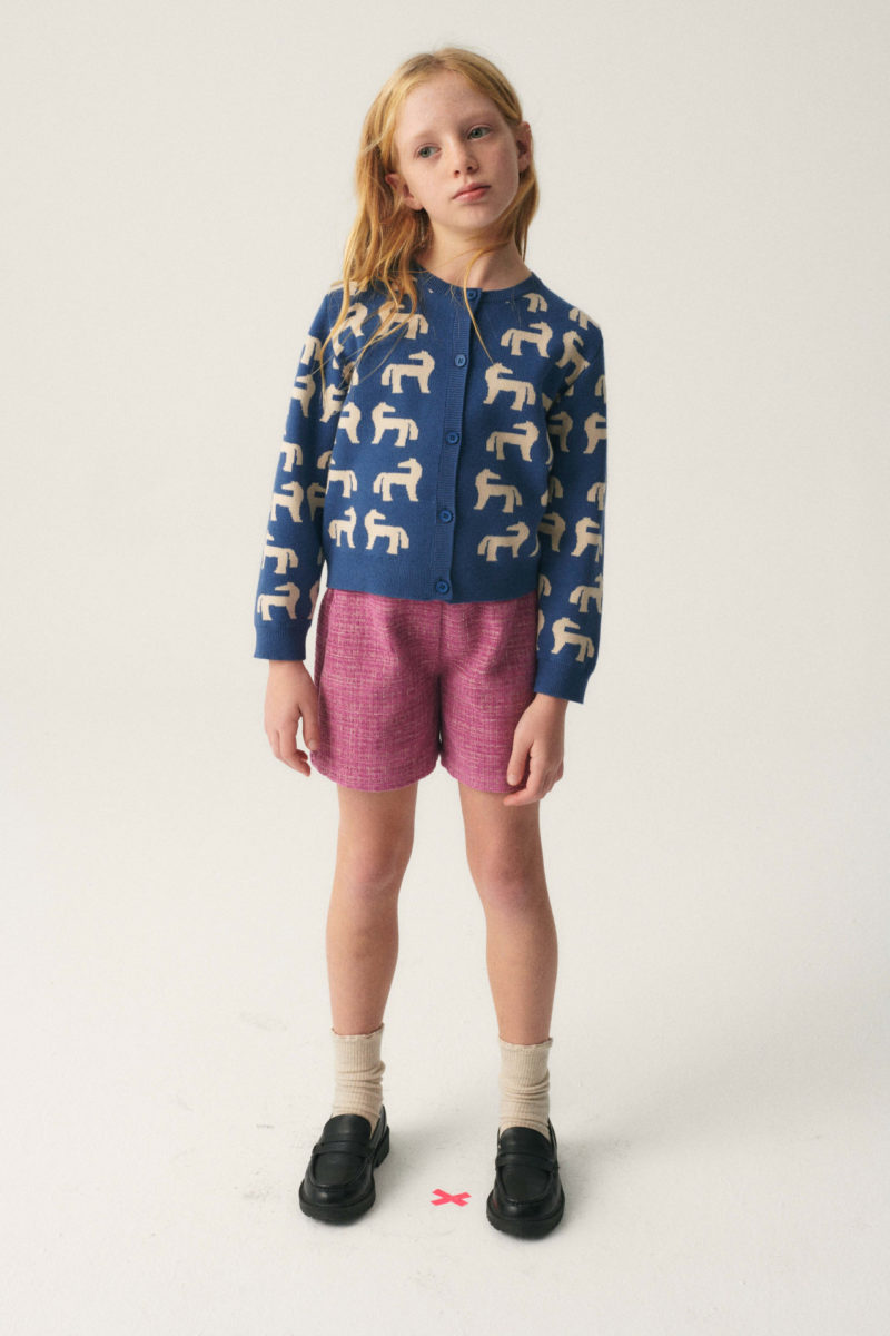 Cardigan caballos - Imagen 3