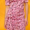 Animal dress - Imagen 2